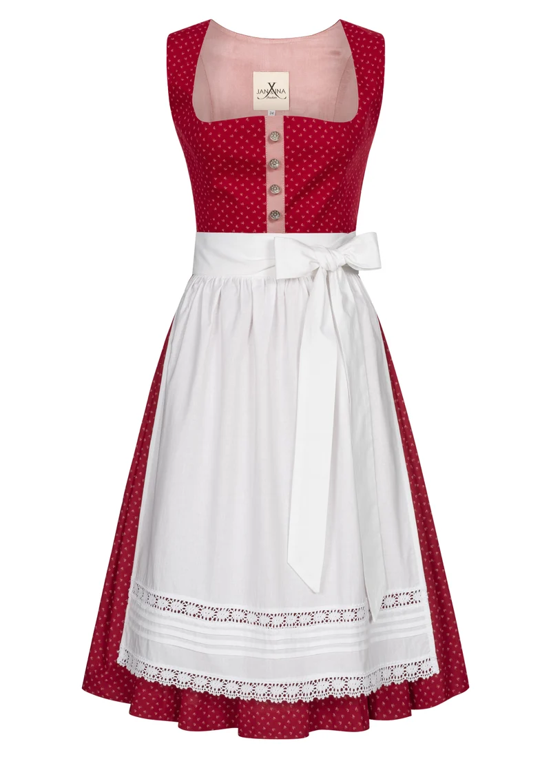 BW DIRNDL VINTAGE FLOWERS BLUTROT