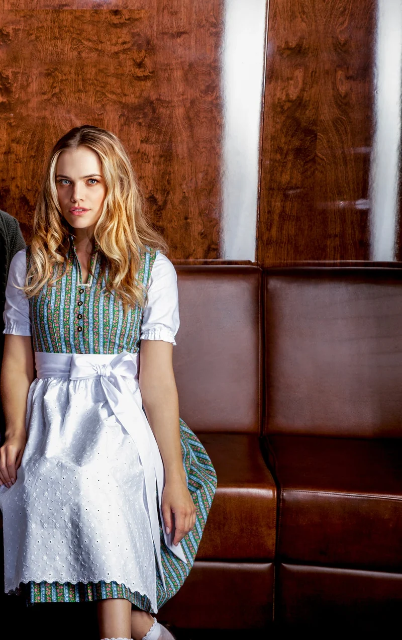 BW DIRNDL VINTAGE STEHKRAGEN STREIFEN FLORAL GRÜN