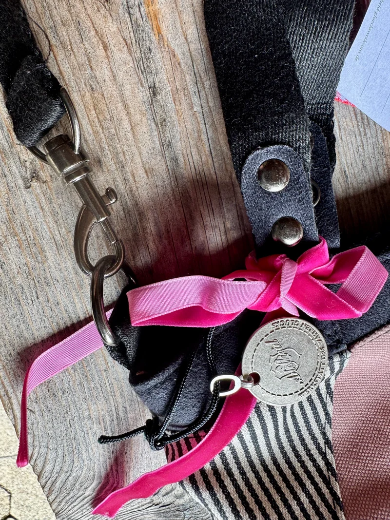 Handtasche, Umhängetasche, rosa, Canvas, Zuckersüße