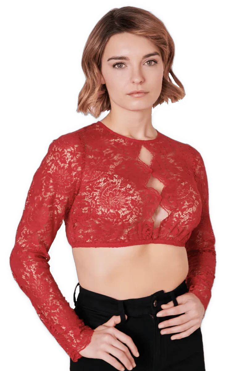 Dirndlbluse Krüger Collections, hochgeschlossen, langarm, Raffaella, rot, beere