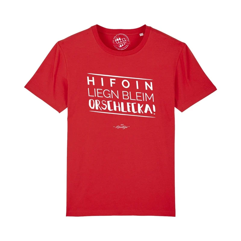 Herren T-Shirt "Hifoin liegn bleim..."