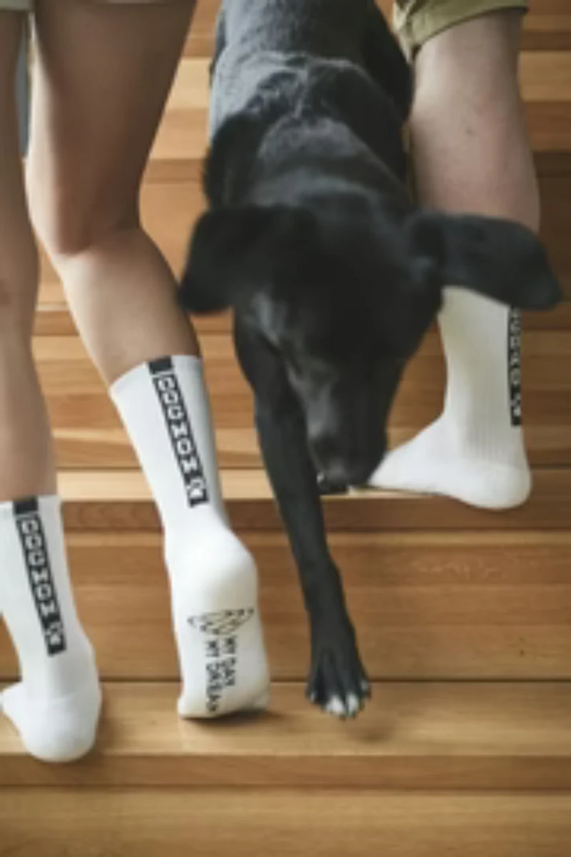 DOGMOM - Socken - My Day My Dream