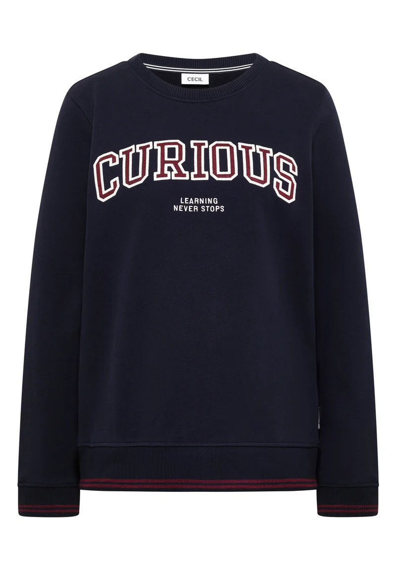 Sweatshirt mit Stickerei