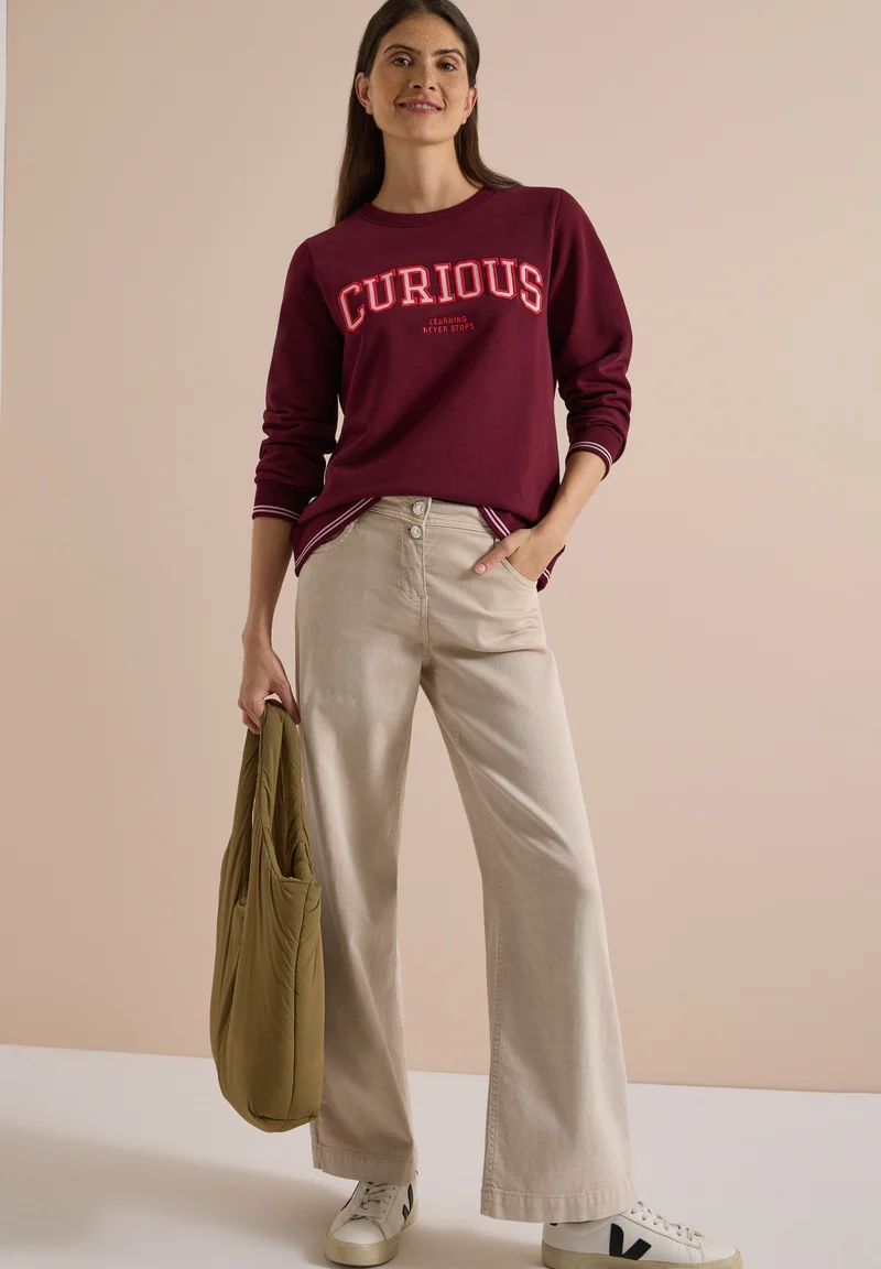 Sweatshirt mit Stickerei