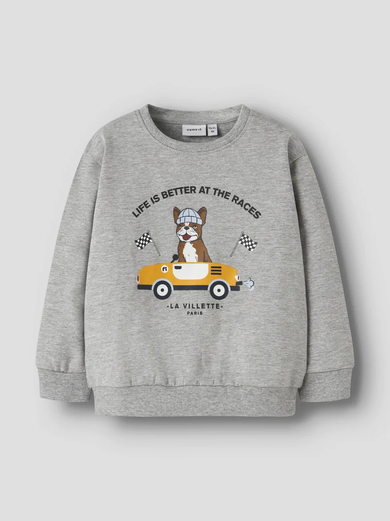 Sweatshirt mit Frontprint
